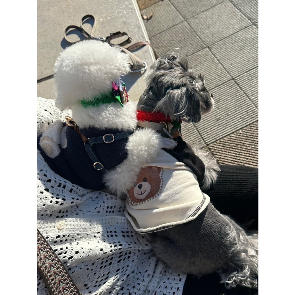 ☆卒業犬たちの近況☆